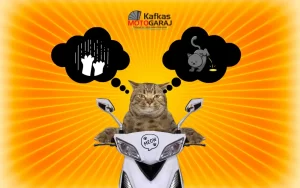 Motosikletinizden Kedileri Nasıl Uzak Tutabilirsiniz - Kafkas Garaj